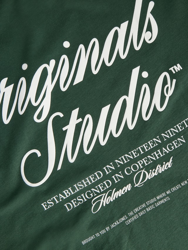Jack & Jones PlusSize Kurzarmshirt »JORNORREBRO TYPO TEE SS CREW NECK  PLS«, mit Schriftzug