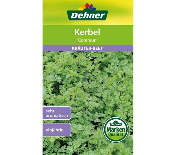Dehner Samen Kerbel 'Commun'