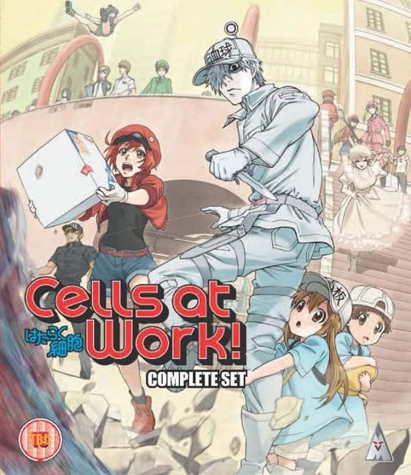 Cells at Work! (Blu-ray) (2 disc) (Import)