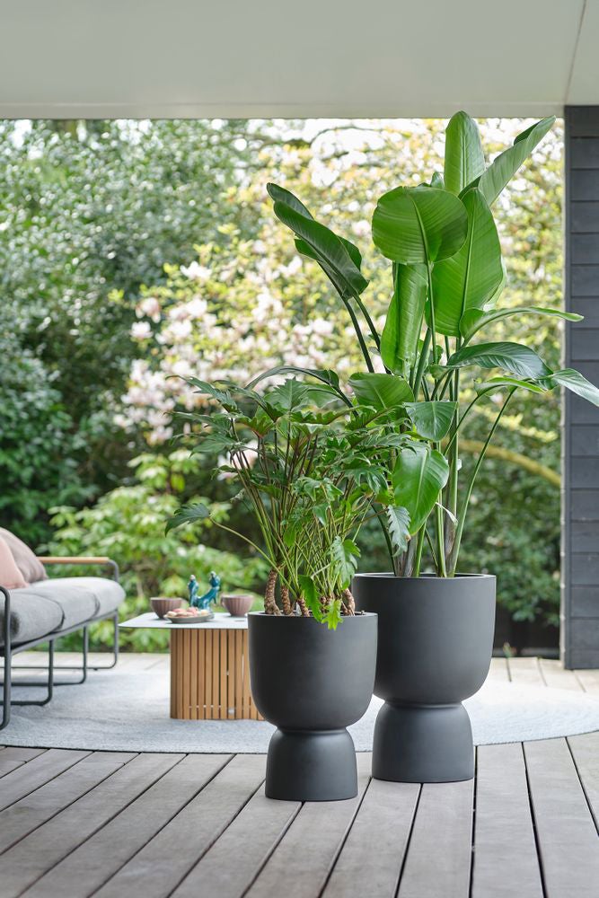 Elho bloempot op voet Pure zwart D 34,9 H 49 cm