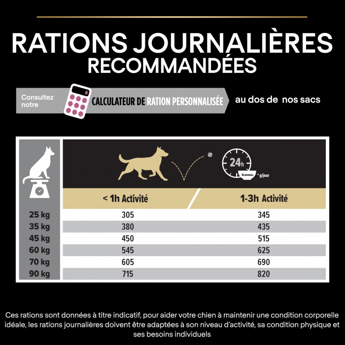 PRO PLAN Sensitive Skin Large Athletic Adult au Saumon - Croquettes pour chien
