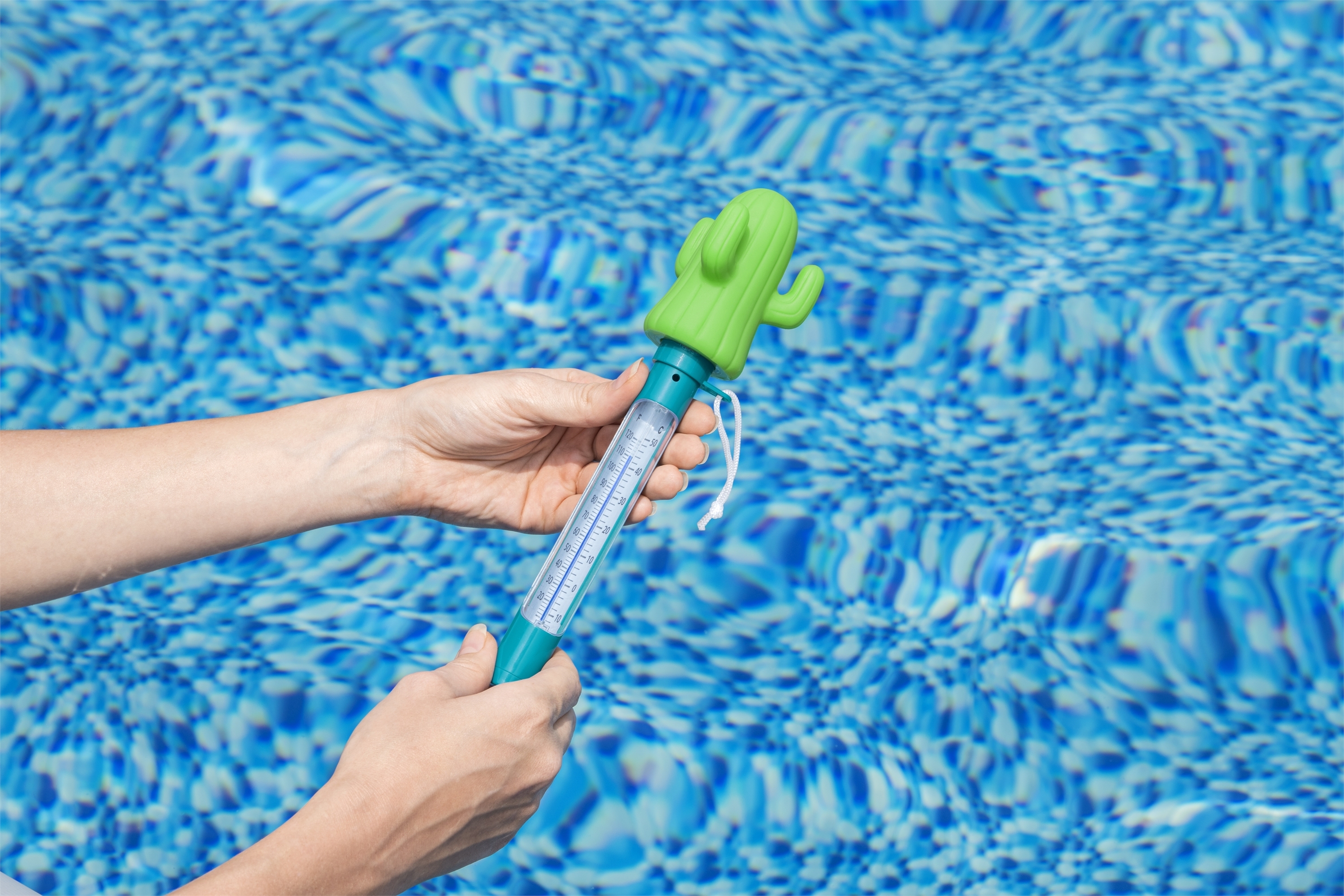 Pool Thermometer Kaktus