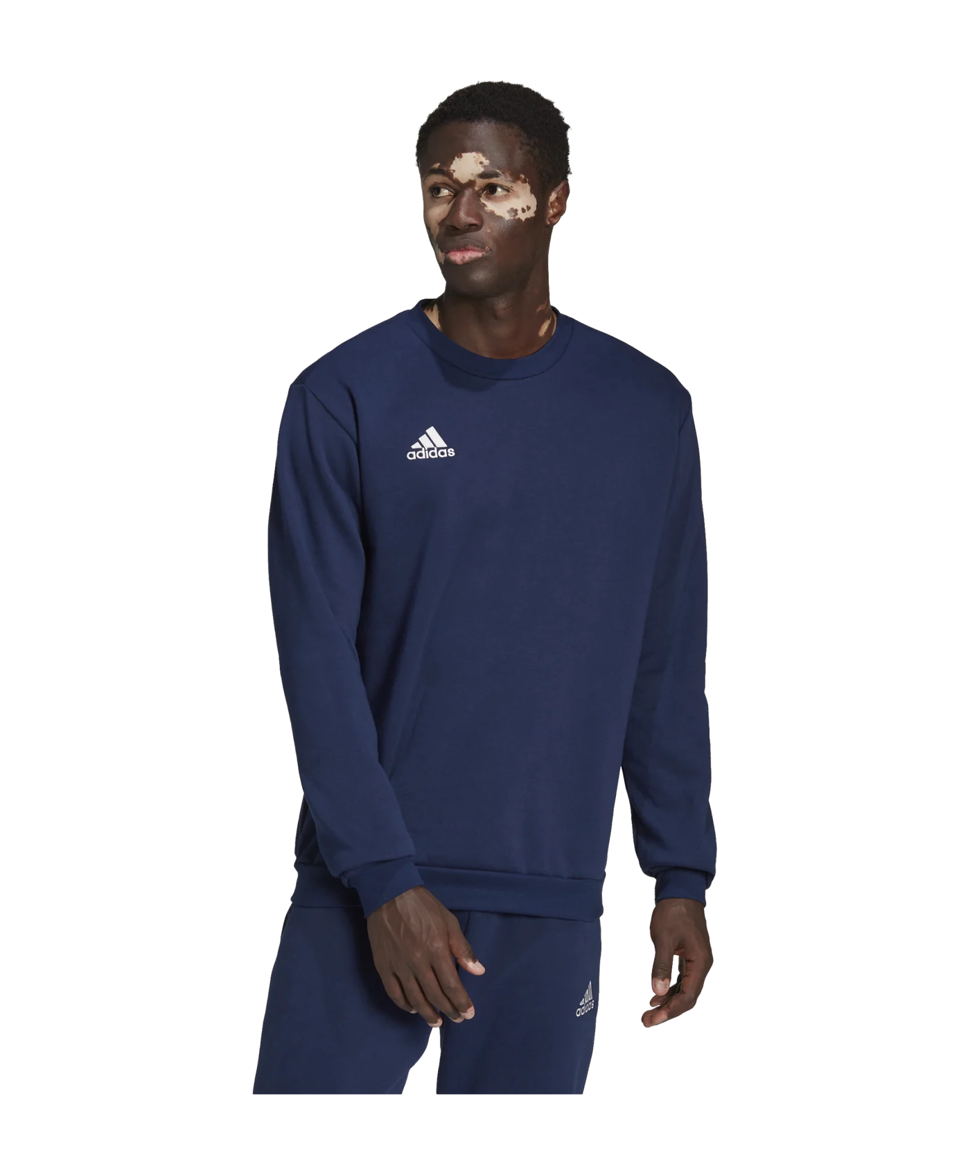 adidas Entrada 22 Sweatshirt Blau