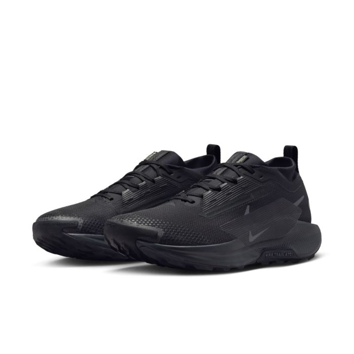 Nike Herre Trailsko Pegasus Trail 5 Gore-Tex Sort