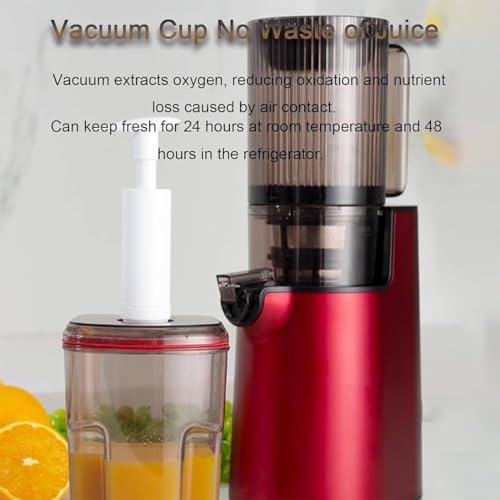 Presse Agrumes à Mastication Lente, Presse Agrumes à Froid 250 W 1400 ML avec 2 Doubles Couches de Filtre, 1 Tasse de récupération de jus/Lies, Presse Agrumes séparateur de pulpe Amovible avec Brosse : Cuisine et Maison