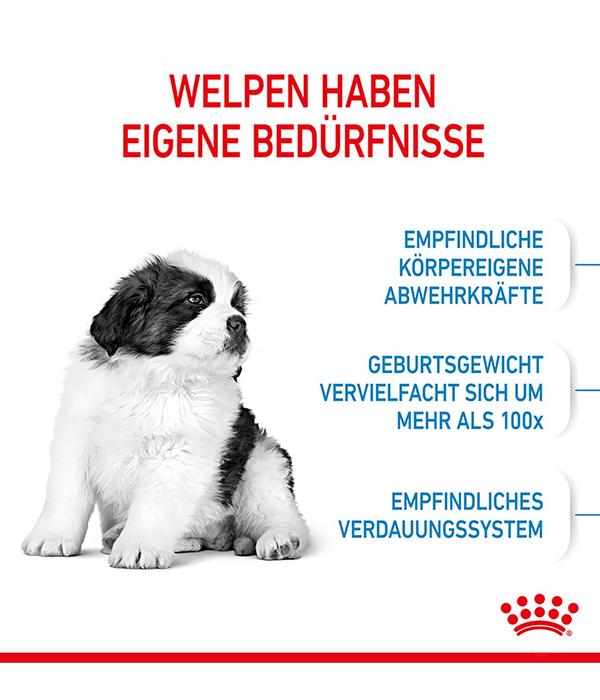 ROYAL CANIN® Trockenfutter für Hunde Giant