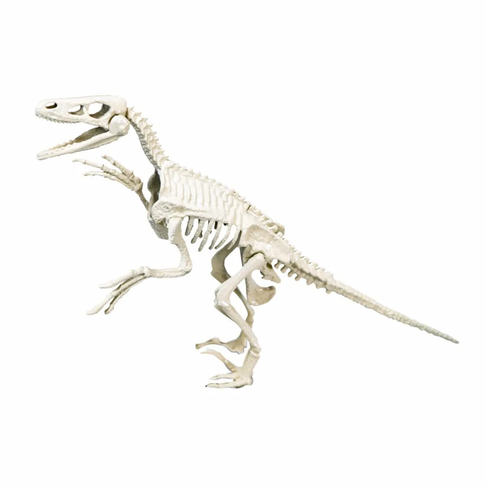 Clementoni AcheospelVelociraptor