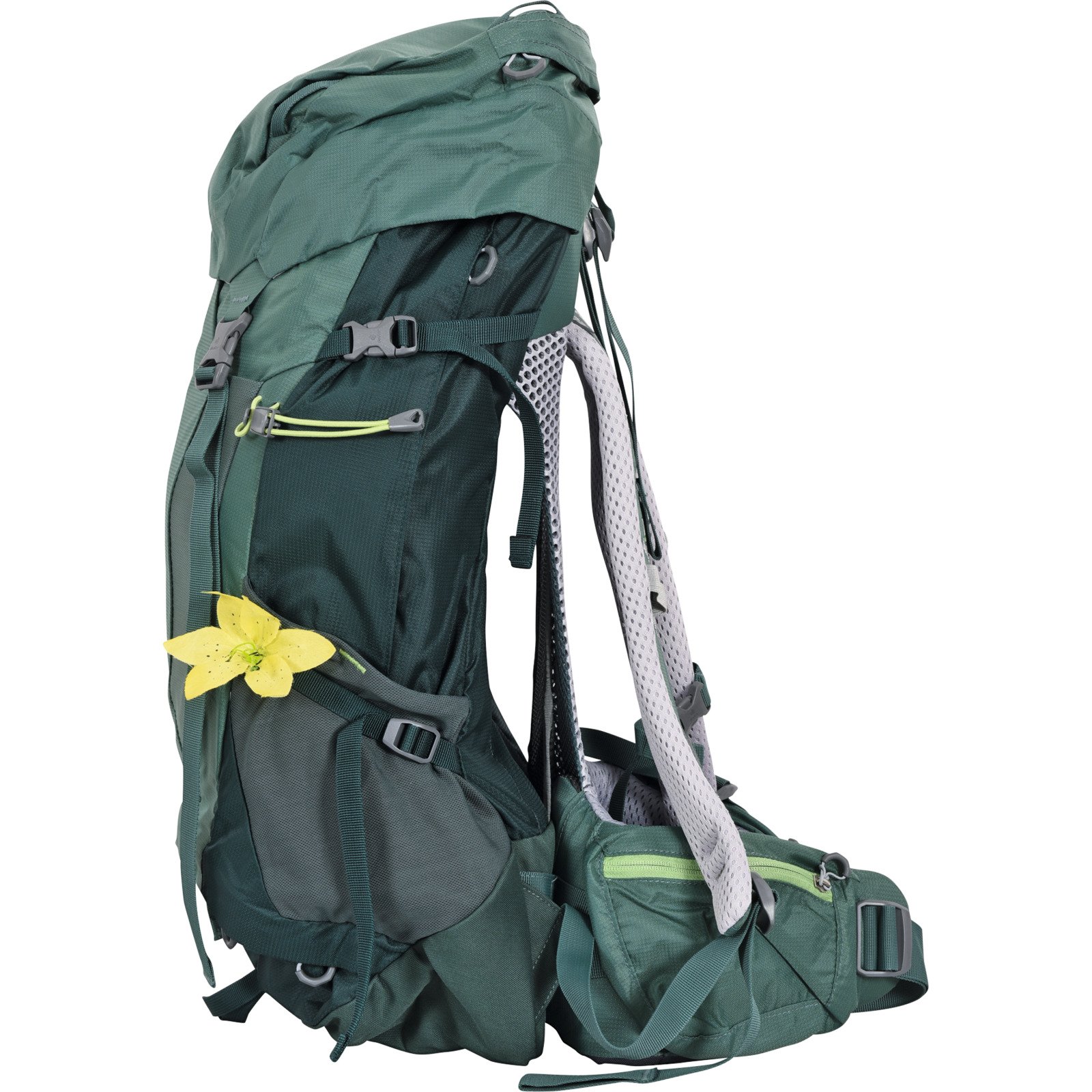 Deuter Futura Rucksack Pro 38 SL
