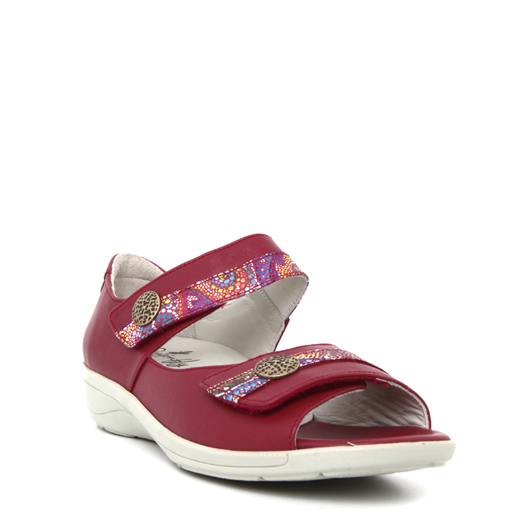 Dragonfly Re-3403 | ROUGE