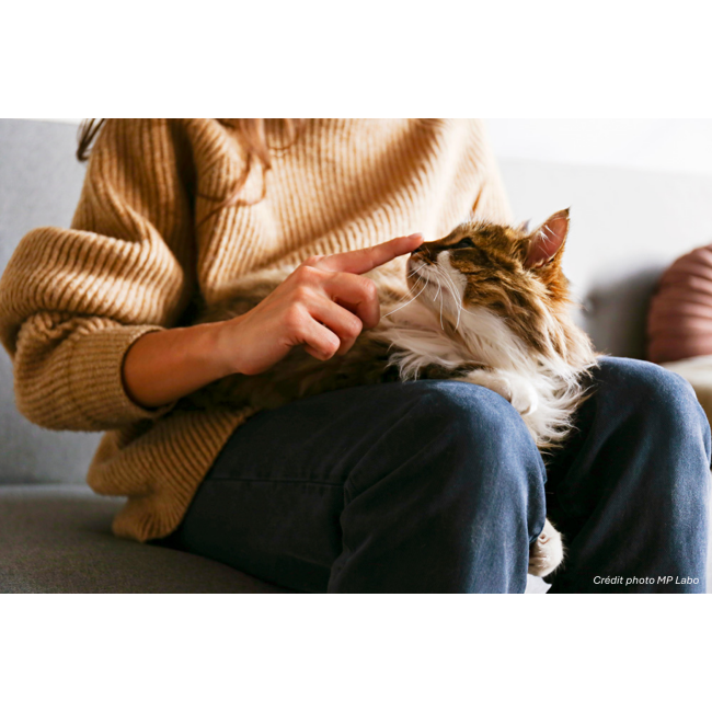 Fumachol MP Labo Soutien fonctions hépatique et rénale chien et chat