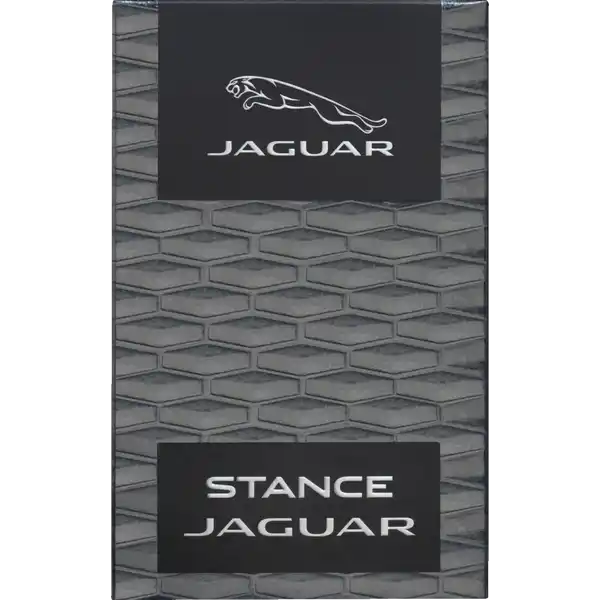 Stance, EdT 100 ml