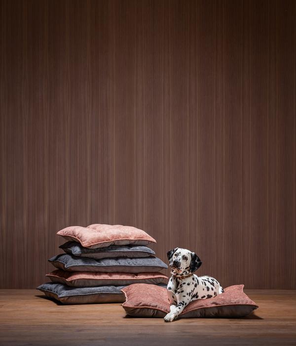 Dehner Lieblinge Kuschelkissen Linette,