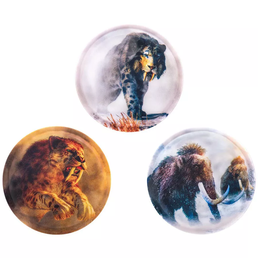 Belmil Patch Belmil Patches mit Klettverschluss Set 3-teilig Stone Age