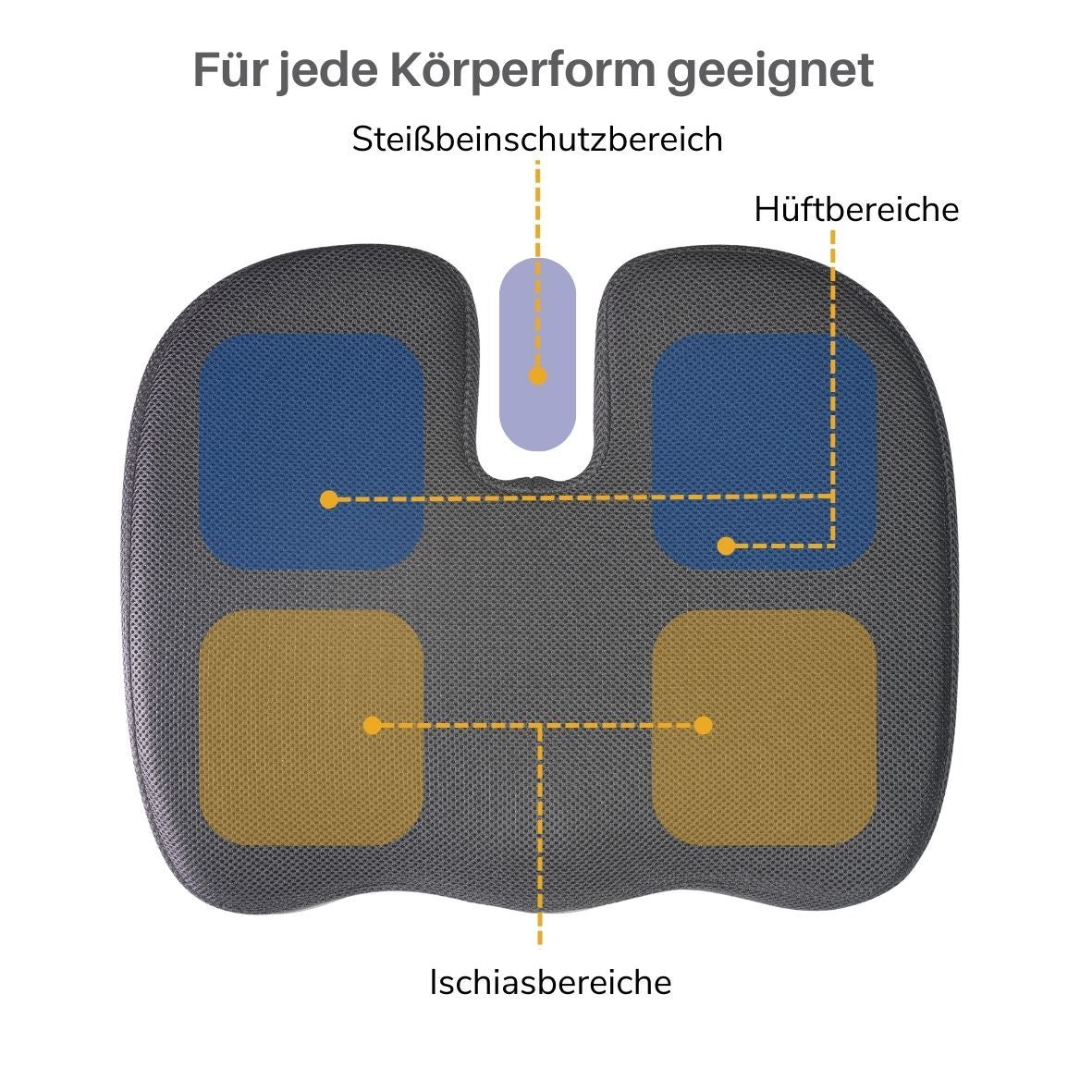 INPHYSIO Kombi-Set: Gesäß- und Lendenstützkissen