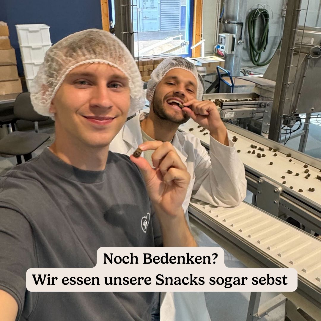 Hunderunde Dentals Traumfänger