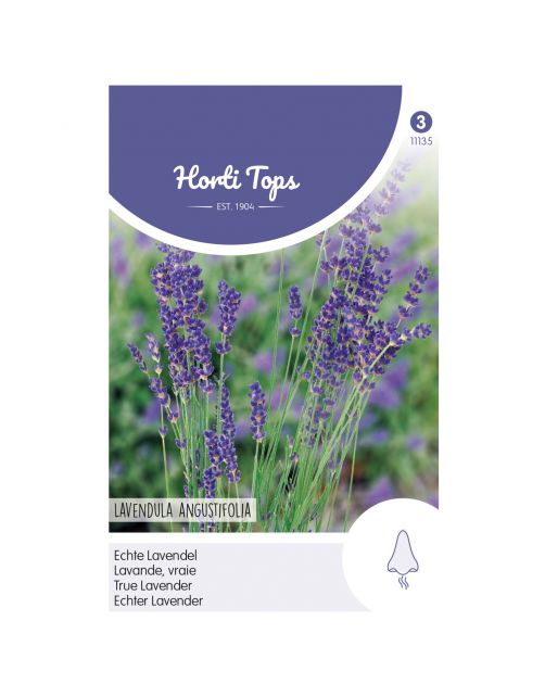 Hortitops Lavendel - Kruidenzaden - 750 g