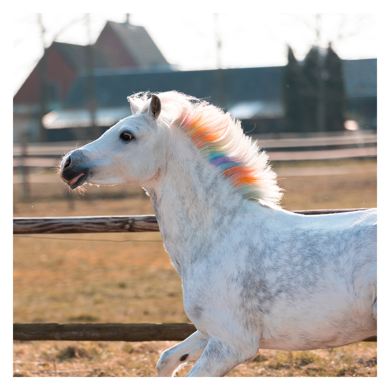 Regenbogenfarbige Kreide Lucky Horse Unicorn
