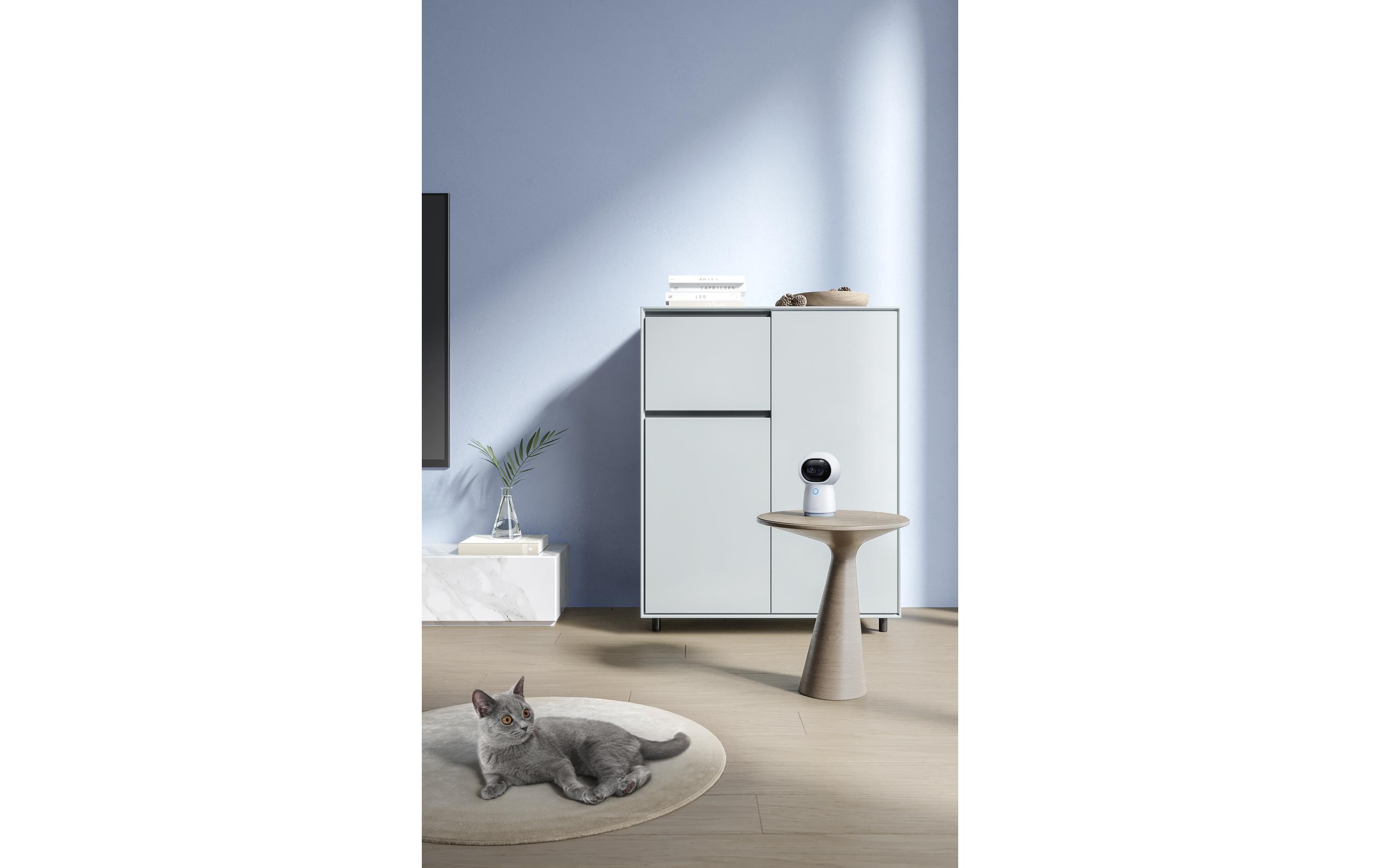 Motorisierte Netzwerkkamera mit Zigbee Gateway CH-H03Zigbee WiFi Kamera Hub G3 mit Gesichts- und Gestenerkennung