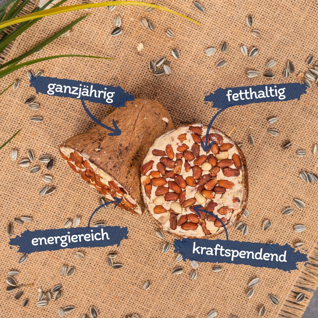 Lyra Pet® Vogelfutter Starterpaket klein