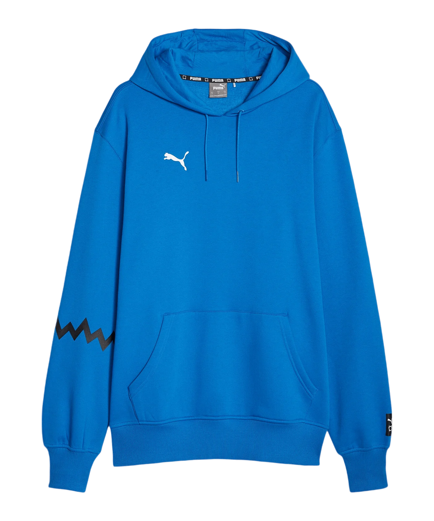 PUMA Hoops Team Hoody Blau F05