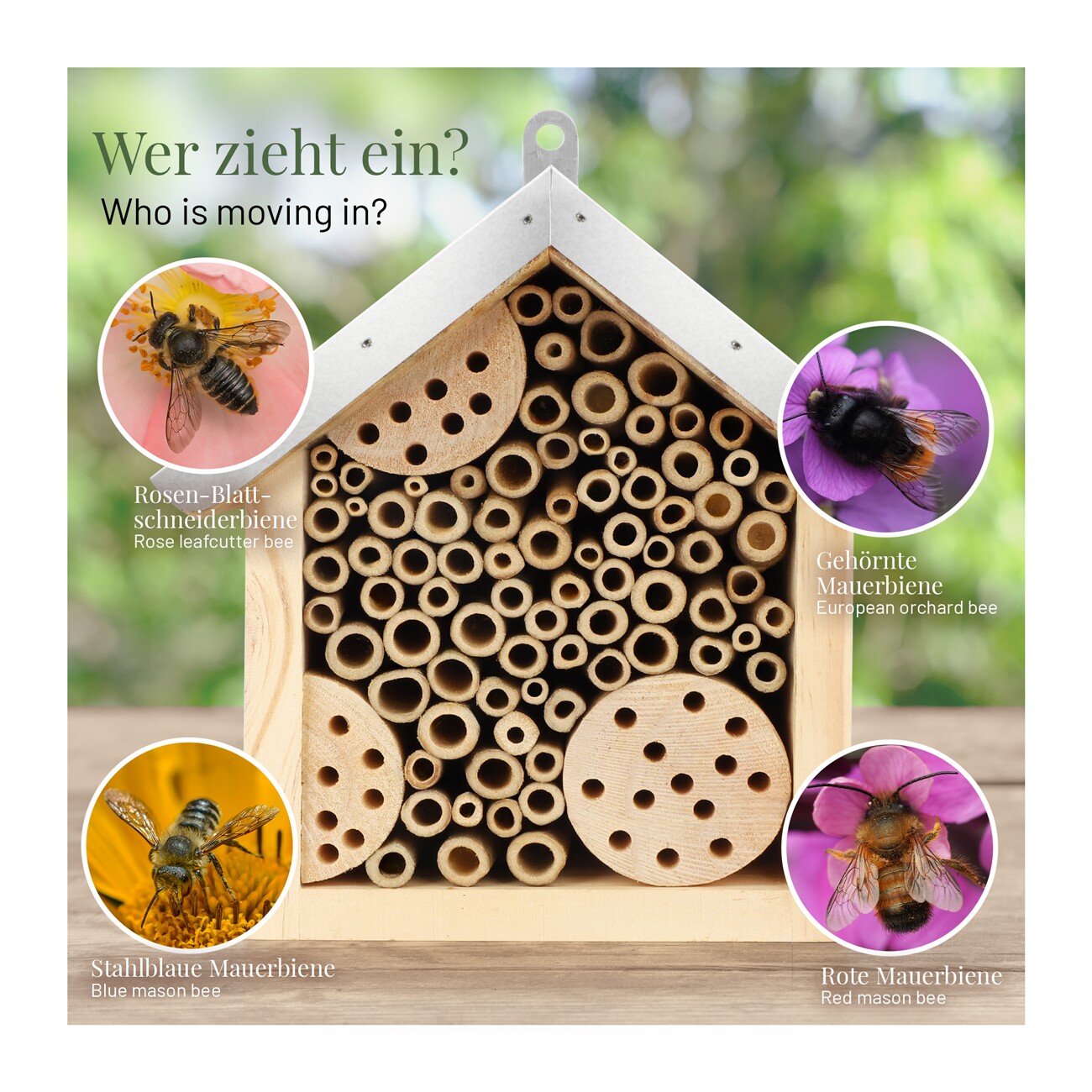 WILDLIFE HOME Bienenhotel mit Metalldach | 2er Set