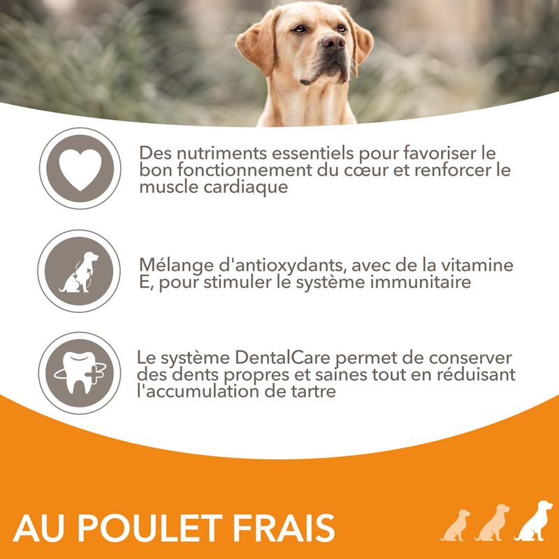 IAMS Advanced Nutrition Senior Large poulet