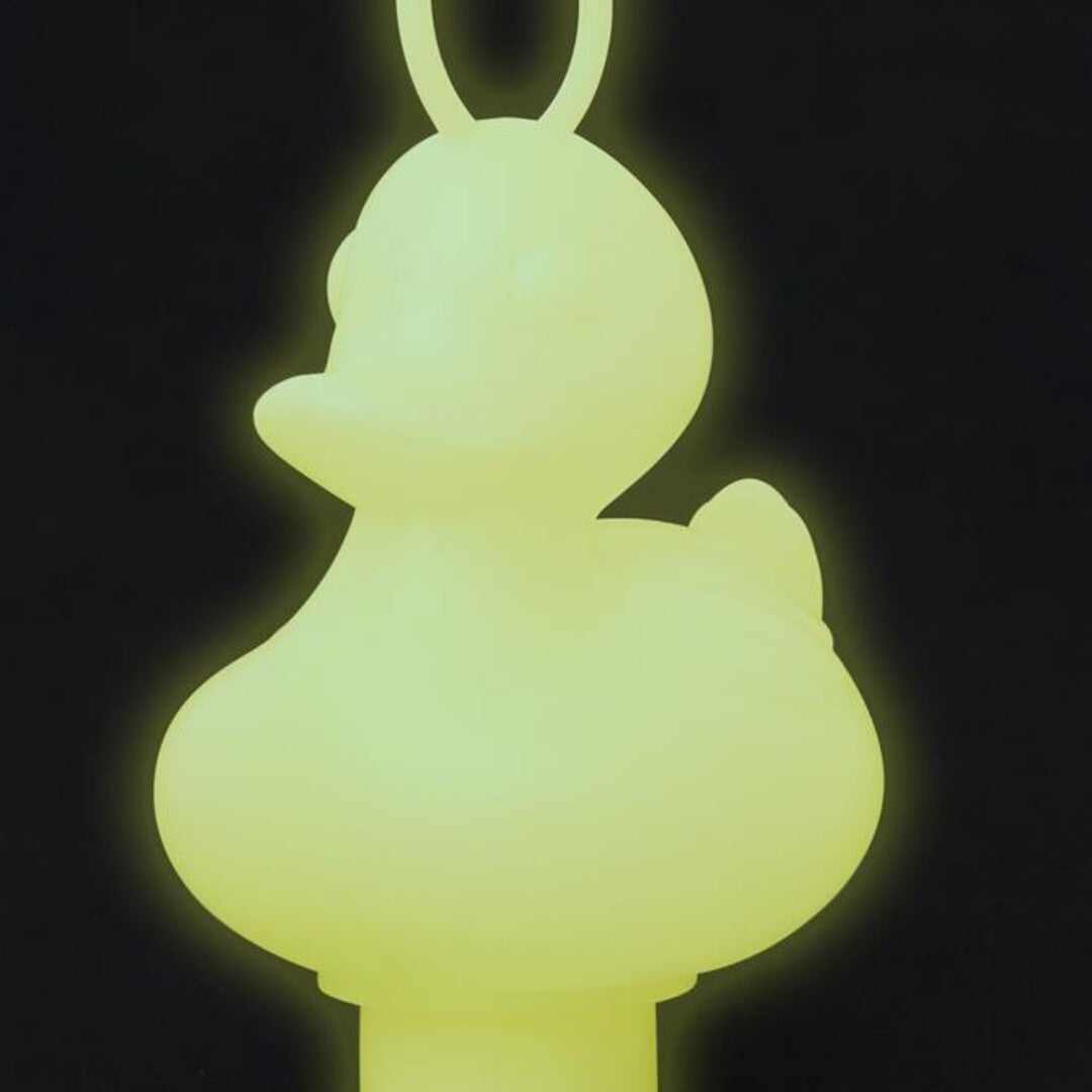 Scratch europe spel vang de eendjes - glow-in-the-dark