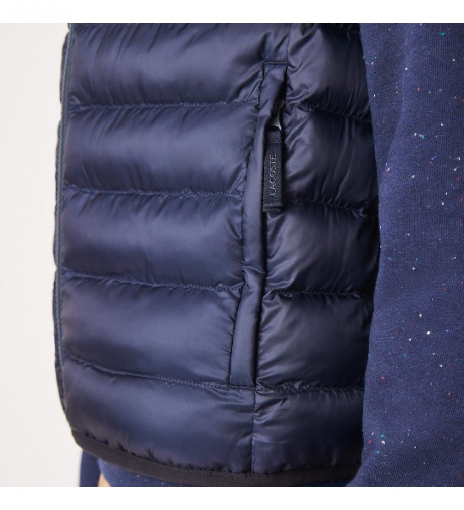 Colete acolchoado azul-marinho Lacoste
