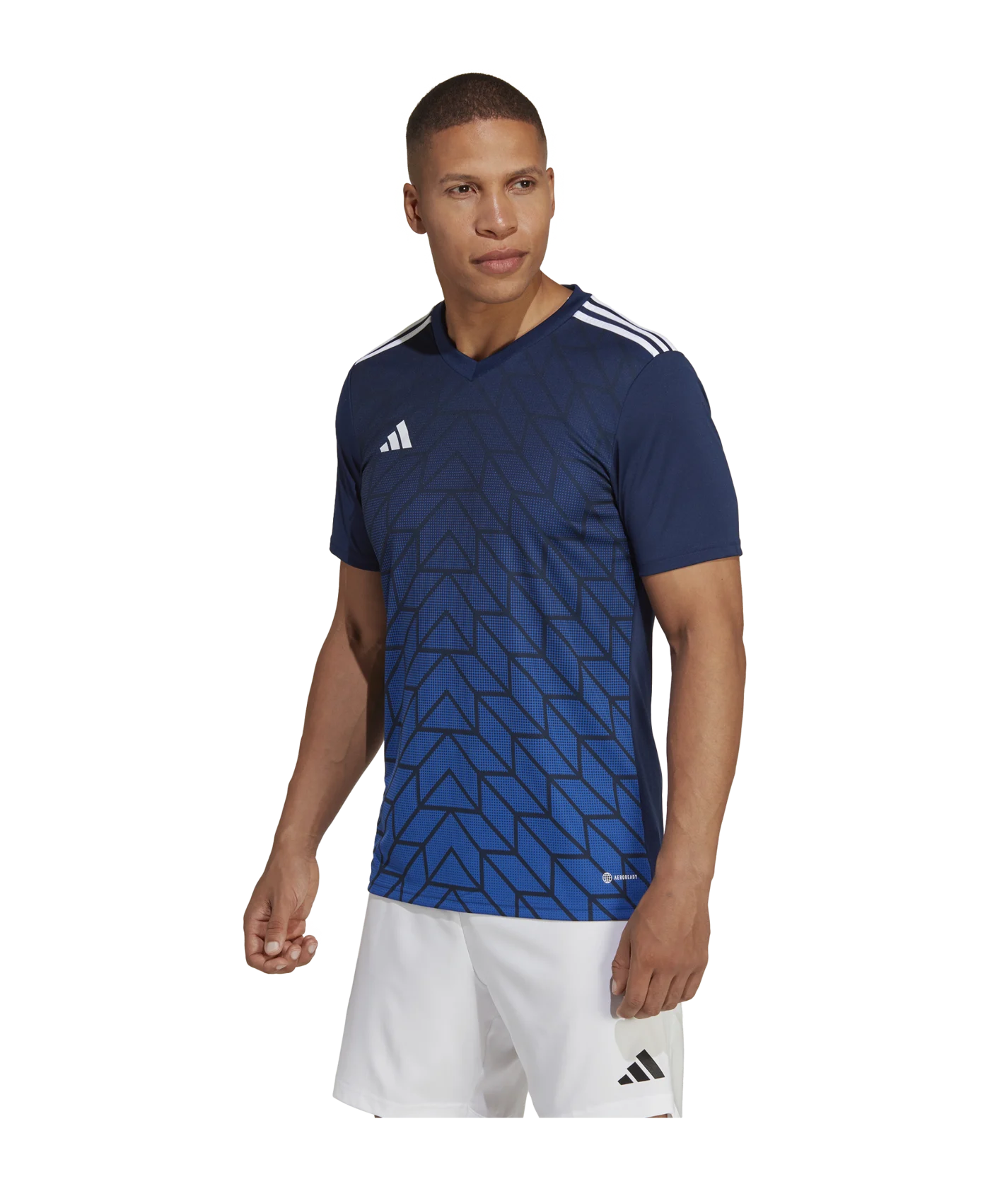 adidas Team Icon 23 Trikot Blau