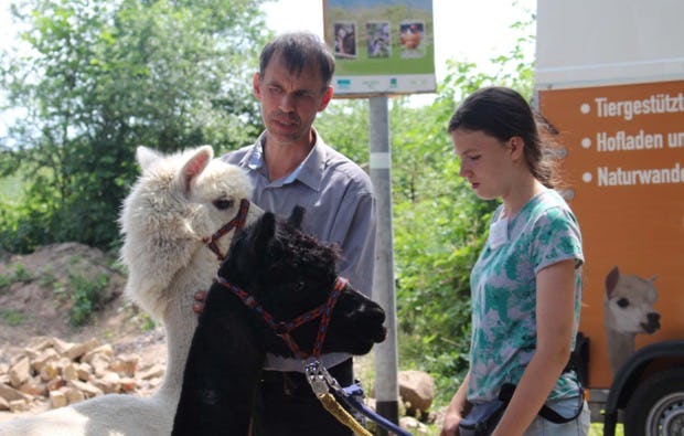 Alpaka Trekking Tour Hamberge