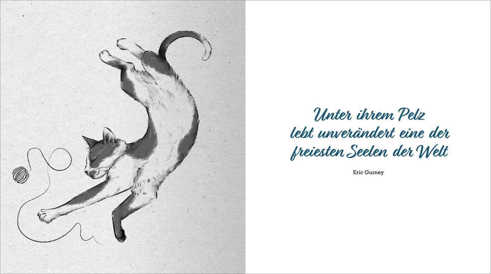 Kleine Katzenphilosophie