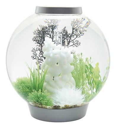 biOrb Classic 60 MCR Zilver | Aquarium