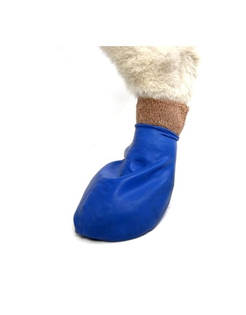 Pawz Rubber Dog Boots - Hondenschoen - Blauw Medium