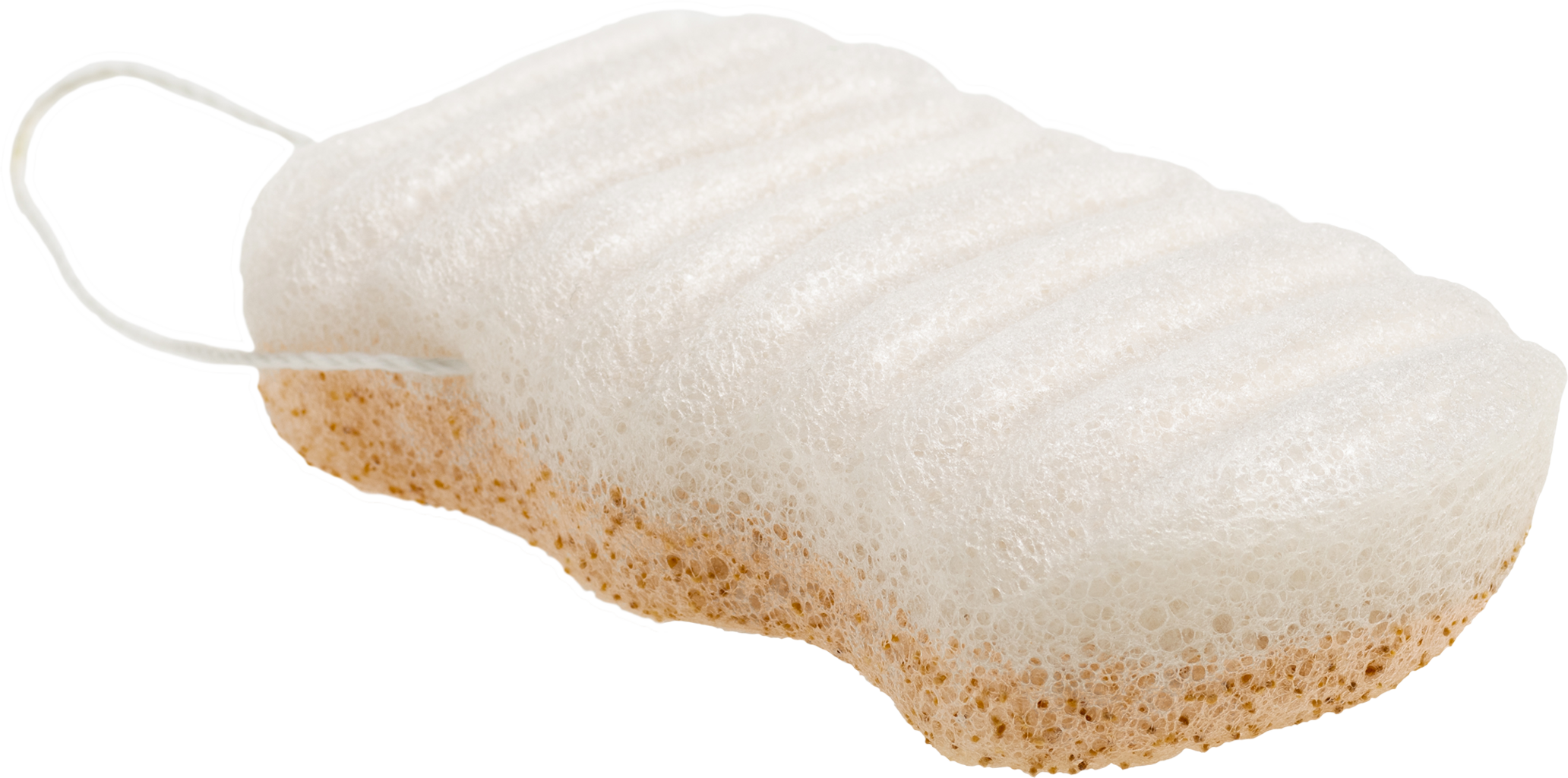 Lady Green  Konjac Body Sponge Walnut