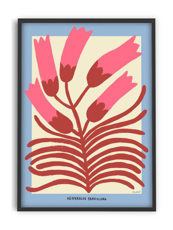 PSTR studio - Madelen - Hesperaloe Parviflora