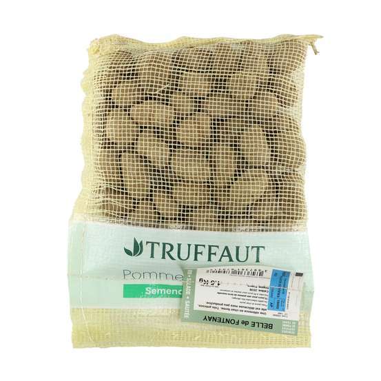 Plants de pommes de terre 'La Belle de Fontenay' en sac - 1,5 kg