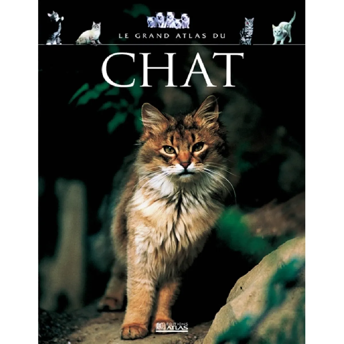 Le grand atlas du chat · Occasion