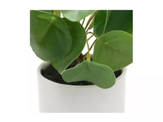 Pilea artificiel toucher naturel pot céramique
