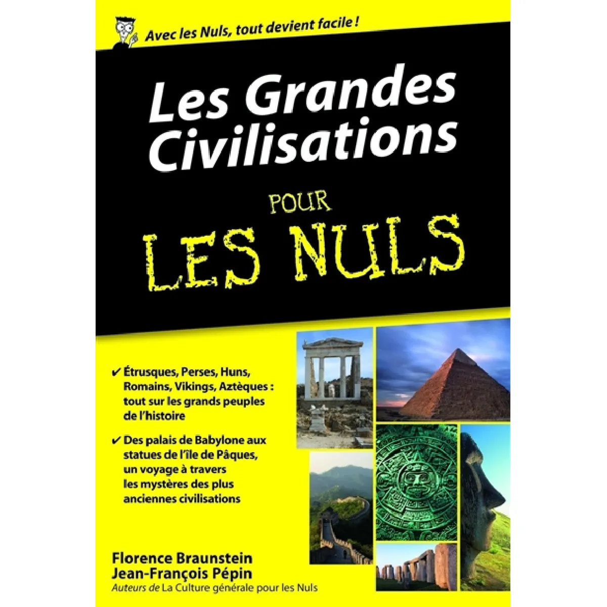 Les grandes civilisations pour les nuls · Occasion