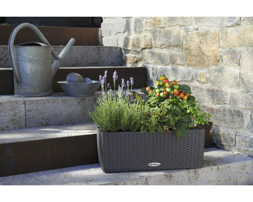 Lechuza Balconera Cottage plantenbak, kunststof, 50x19x19 cm, granieten afwerking, inclusief zelfbewateringssysteem en waterniveau-indicator.