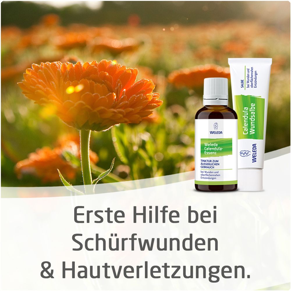 Calendula Wundsalbe zur wirksamen Behandlung von Schürfwunden und kleineren Hautverletzungen