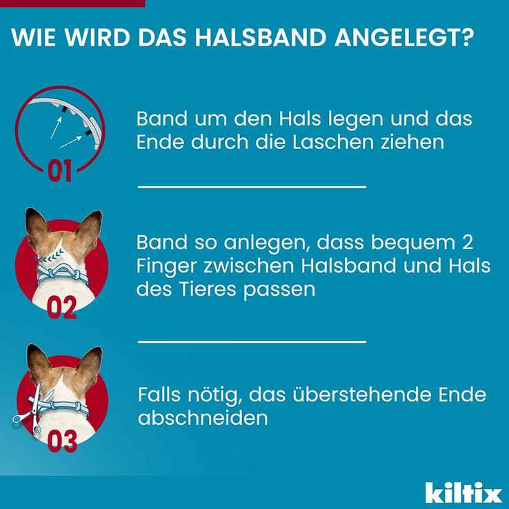 Kiltix für große Hunde Halsband, 1 St
