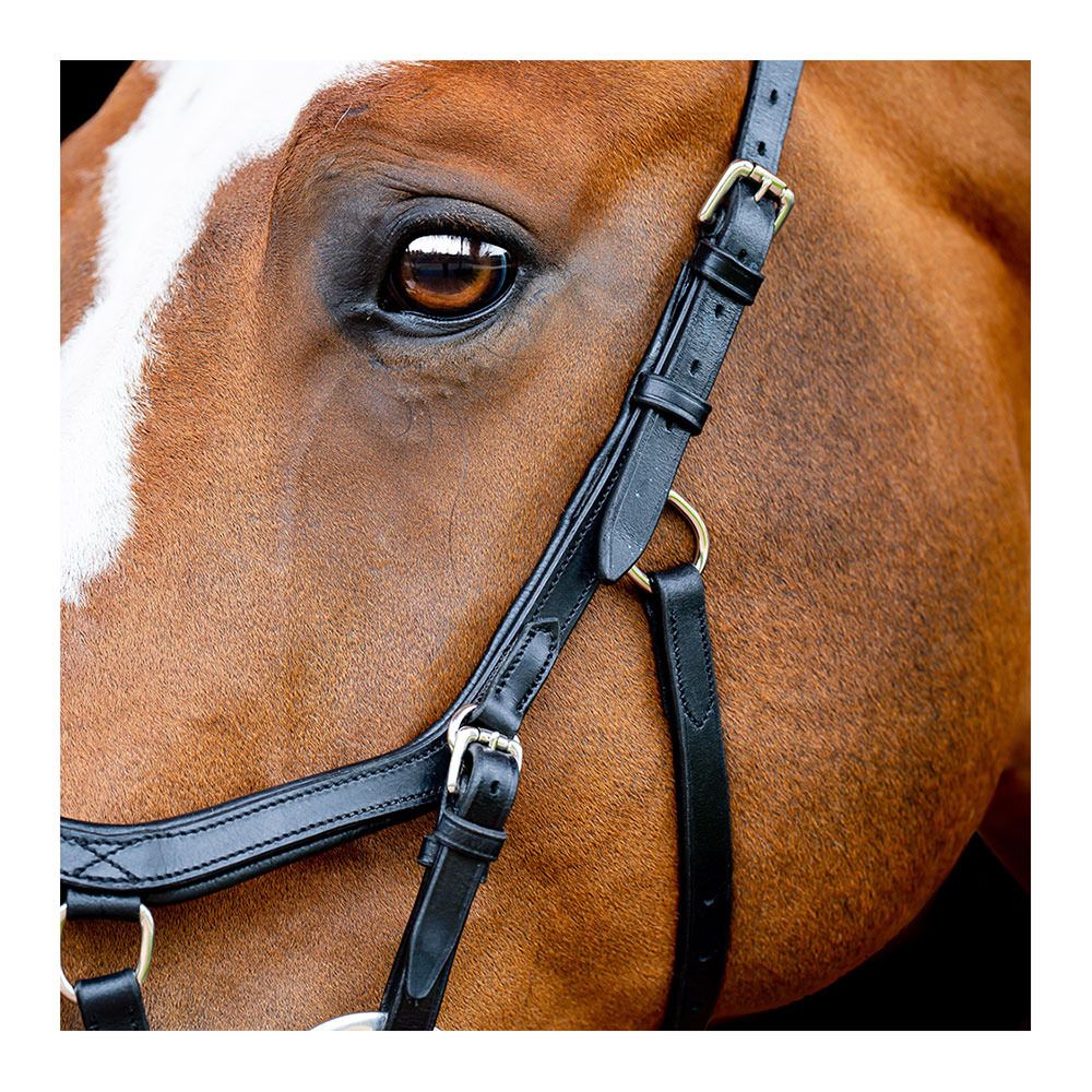Horseware MICKLEM 2 COMPETITION - Bridon havana black