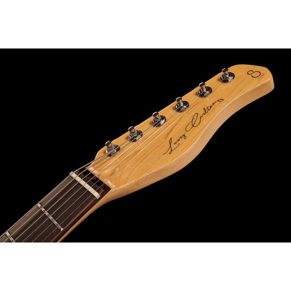 Larry Carlton T3 TS