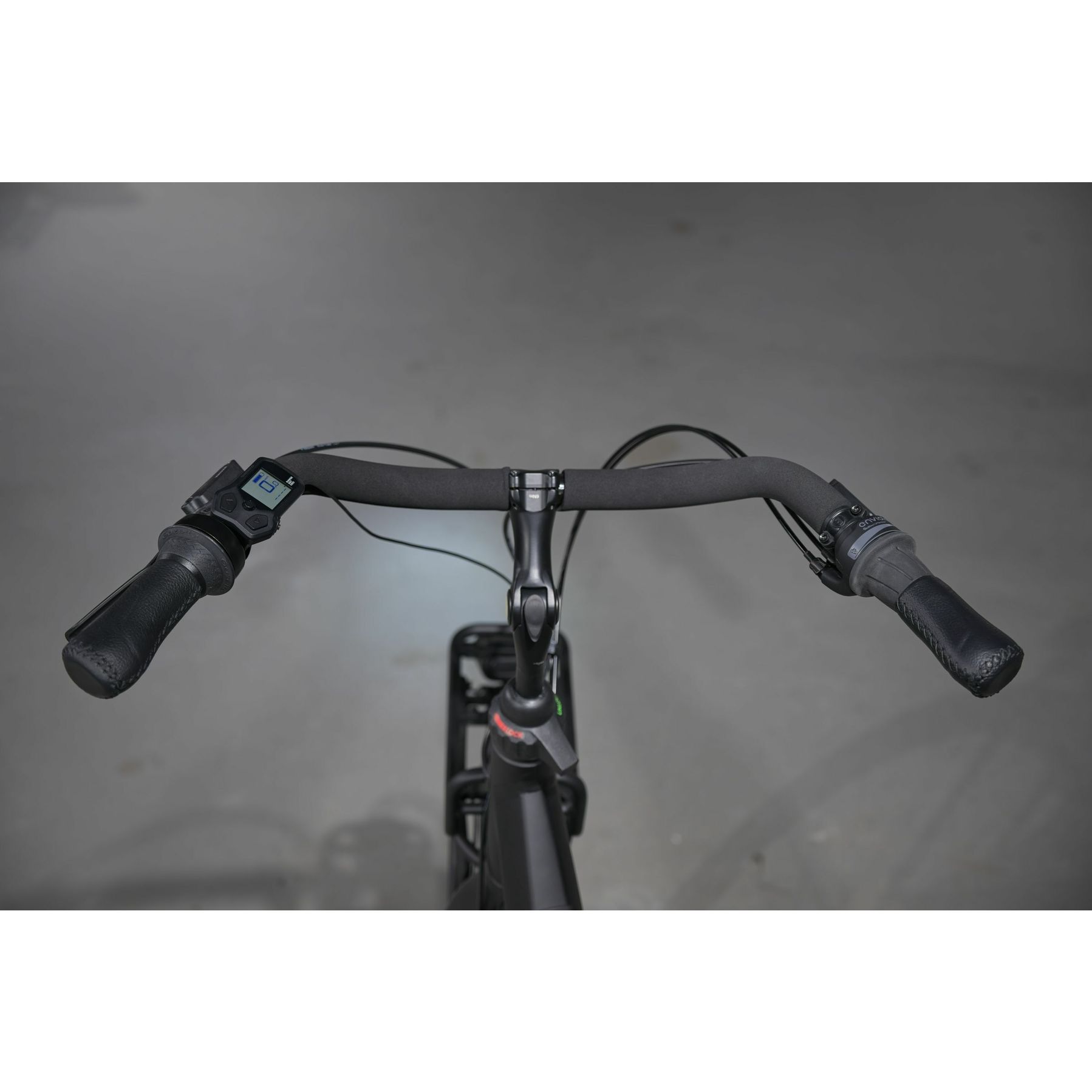 Gazelle Bloom C310 HMS 2026