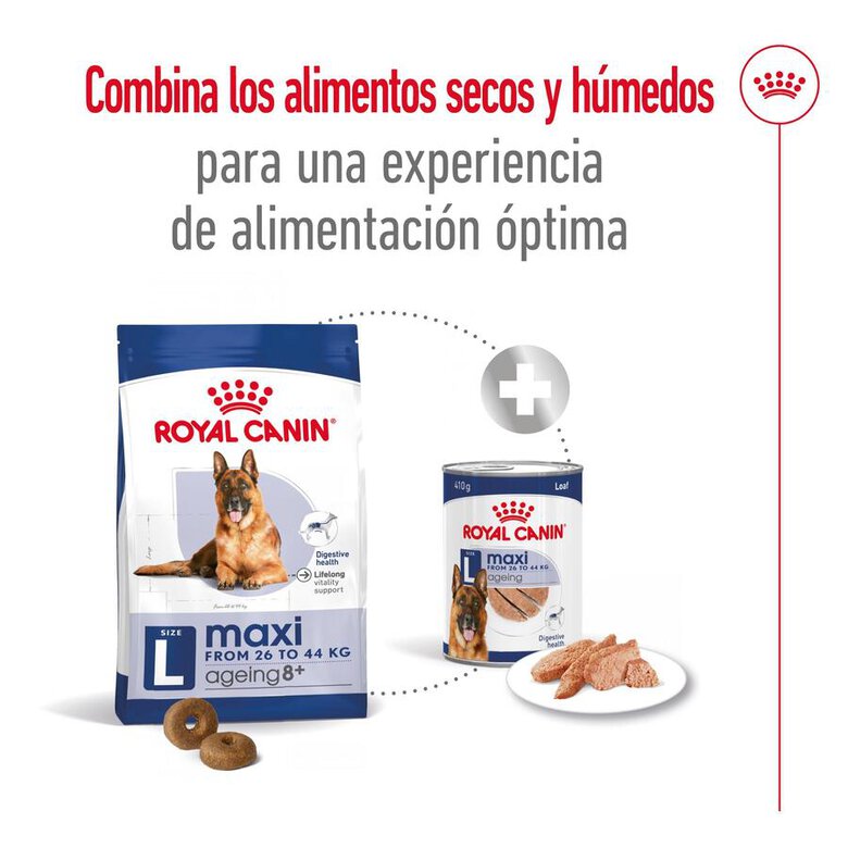 Ração Royal Canin Maxi Ageing para cães com mais de 8 anos