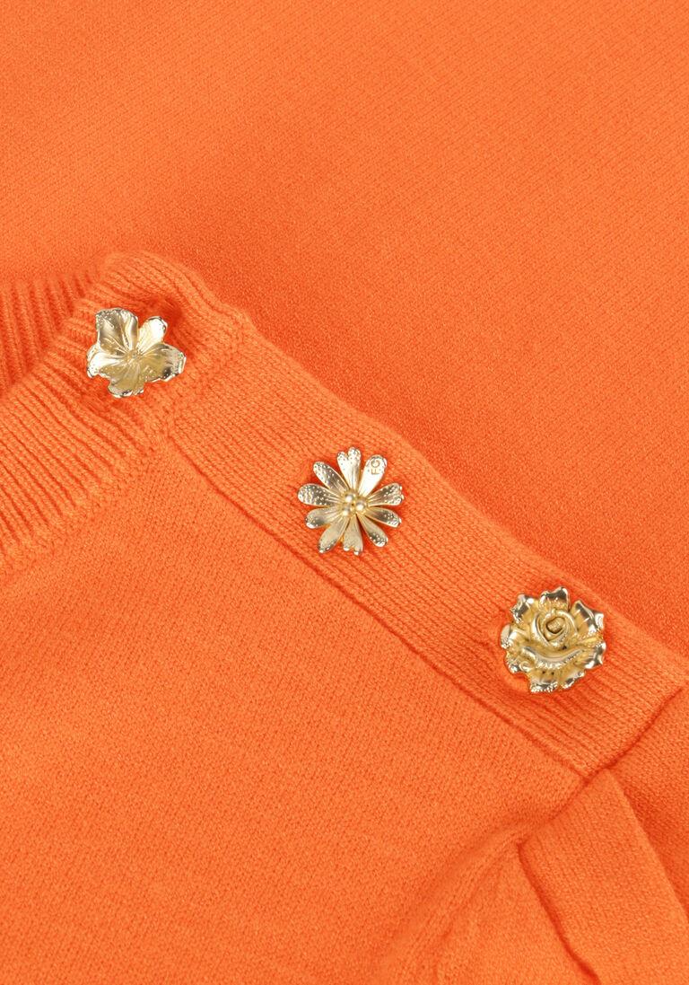 FABIENNE CHAPOT oranje fabienne chapot trui jolly pullover