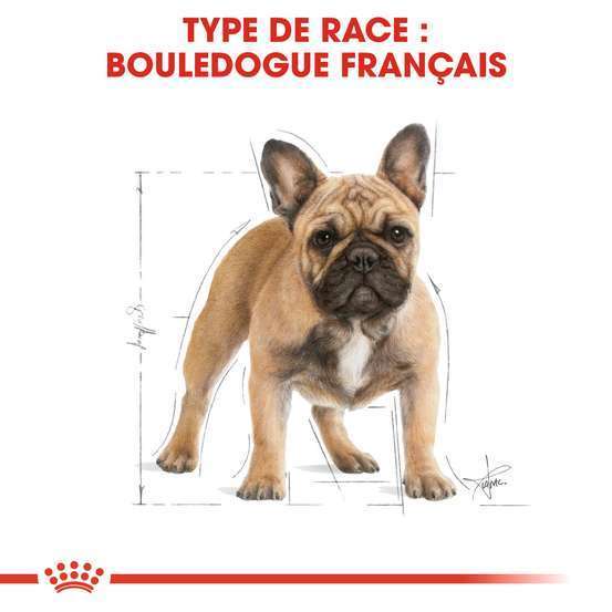 Croquettes chien French Bulldog Adulte plus de 12 mois 3kg