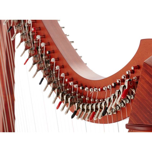 Salvi SALTIT-CSS Titan Cherry