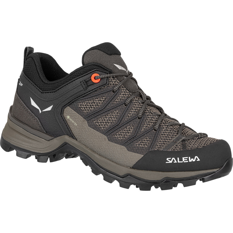 Salewa Damen MTN Trainer Lite GTX Schuhe